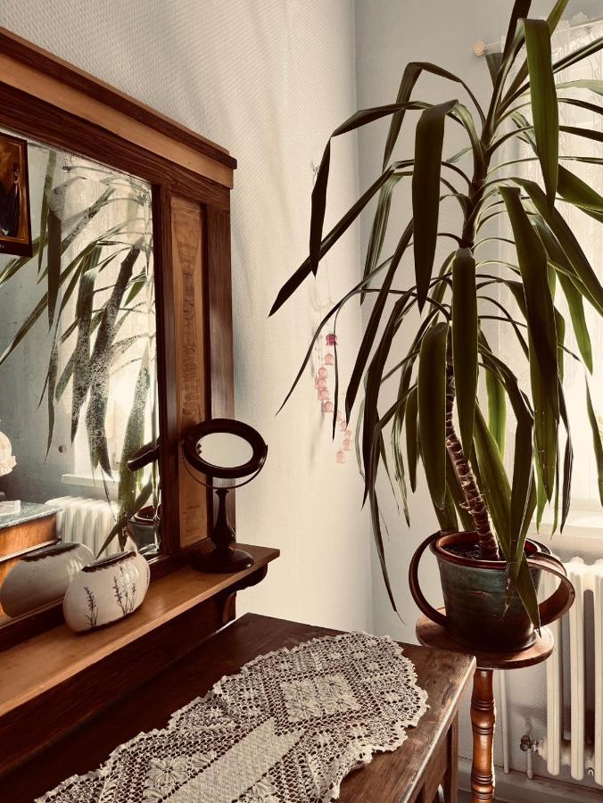 Ferienwohnung Geister Наумбург Экстерьер фото