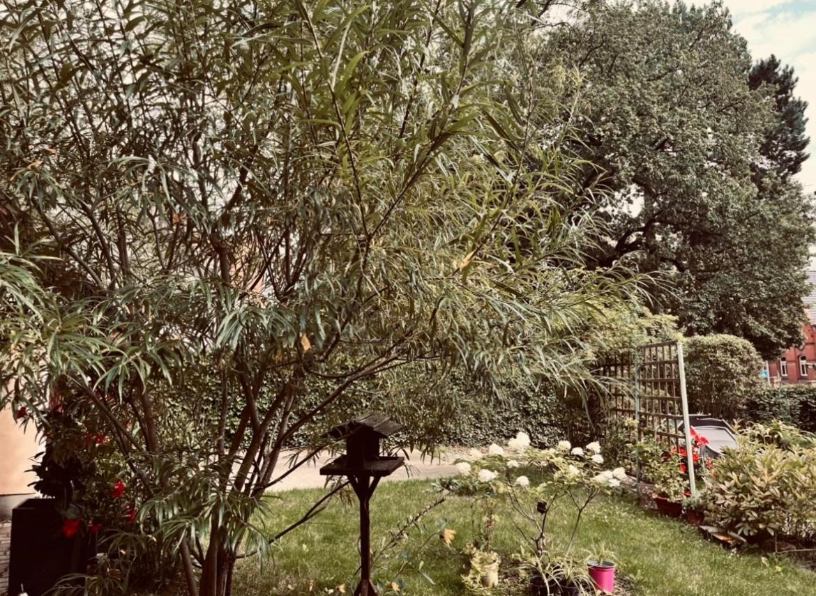 Ferienwohnung Geister Наумбург Экстерьер фото